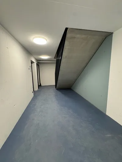 Eingangsbereich mit farbiger Akzentwand und Betontreppe, professionell lackiert.